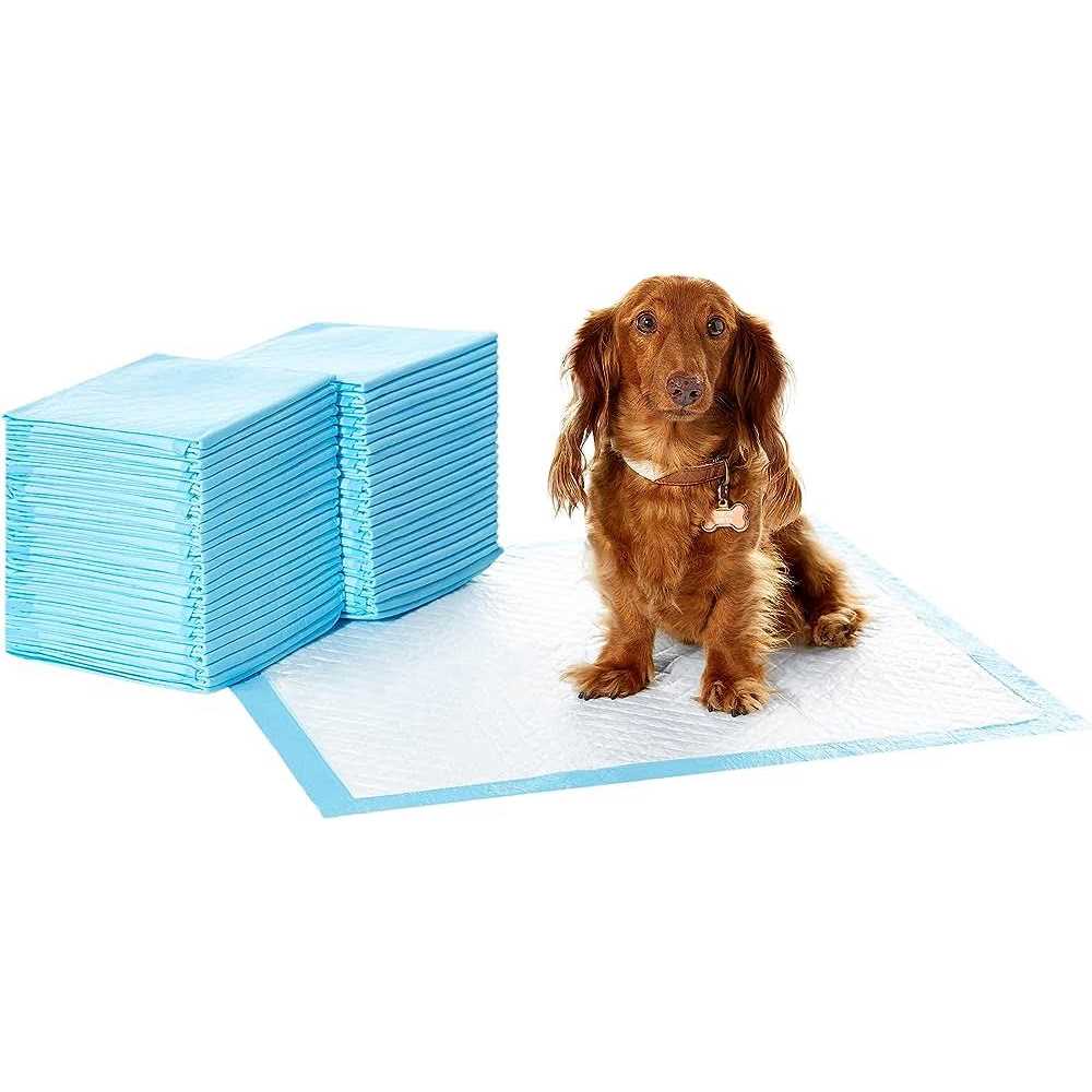 Amazon Basics Dog and Puppy Pee Pads with 5-Layer Leak-Proof Design and Quick-Dry Surface for Potty Training - Pet Supplies online store