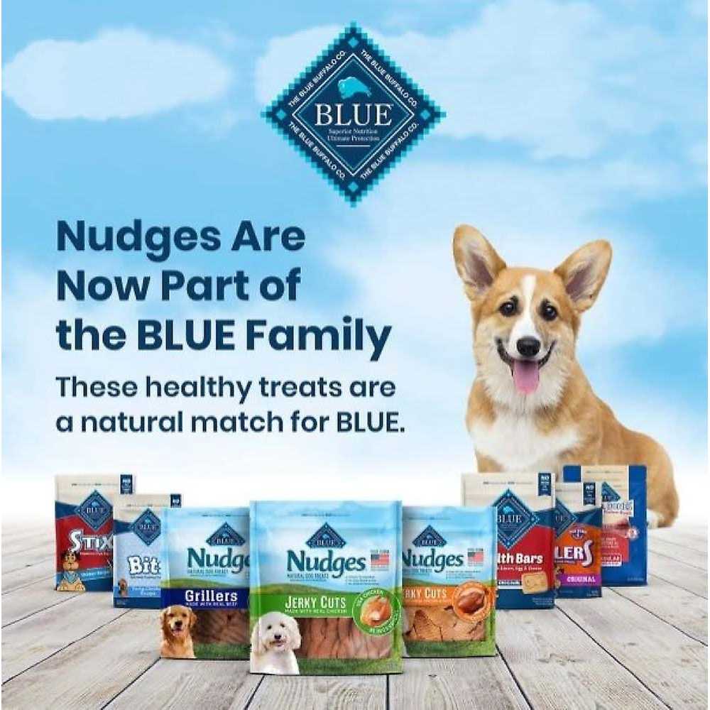 Blue Buffalo Nudges Grillers Natural Dog Treats - Pet Supplies online store