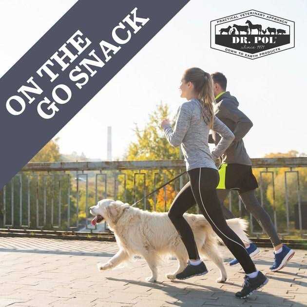 Dr. Pol Chicken Munchies Grain-Free Freeze-Dried Raw Dog Treats - Pet Supplies online store