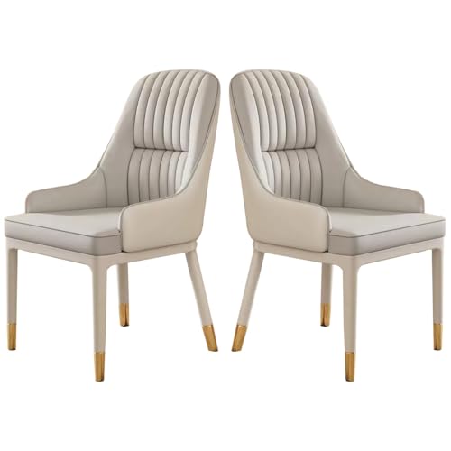 Dining Chairs s Set of 2 Mid-Century Modern s Dining Room Chairs Sturdy Metal Legs with Arms, Small Space Dining Set for Living Waiting Room Easy Assembly -D(C)