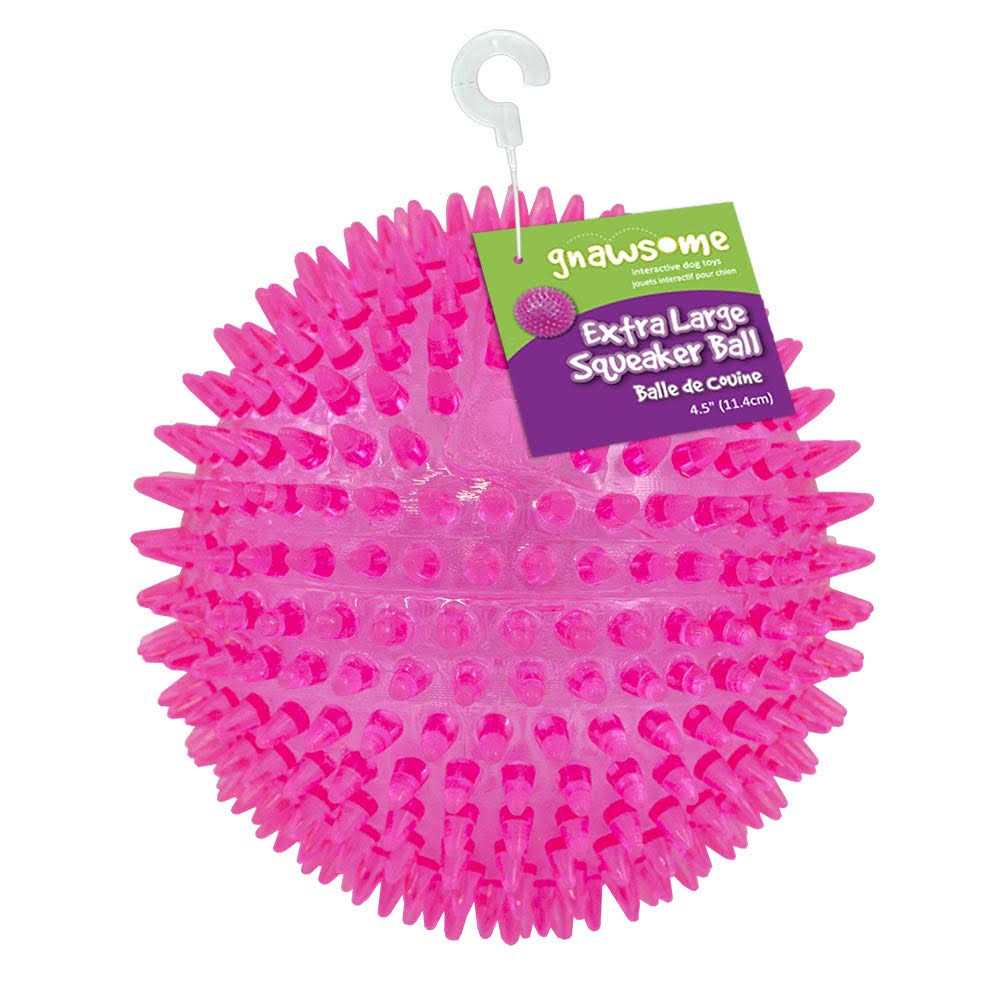 Gnawsome Squeaker Ball Dog Toy - Pet Supplies online store