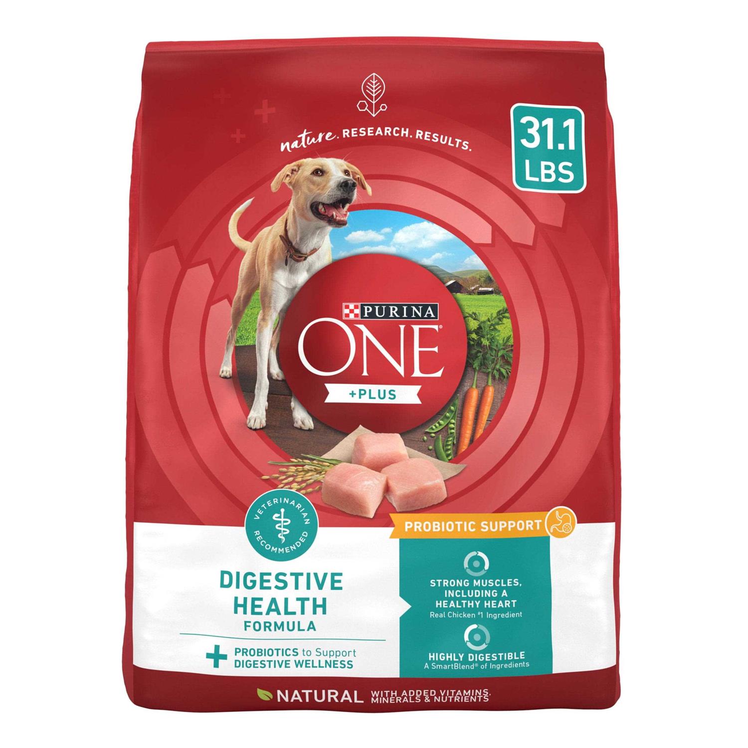 Purina ONE Digestive Health Dry Dog Food - Pet Supplies online store