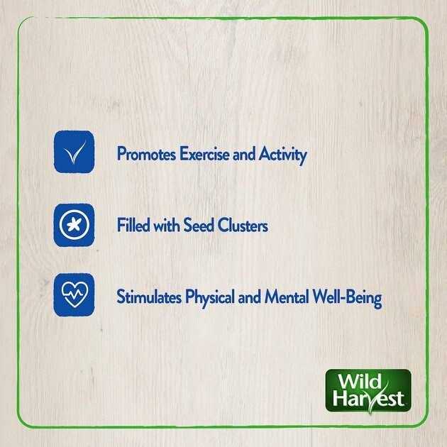 Wild Harvest Foraging Instincts Peck n Play Interactive Treat - Pet Supplies online store