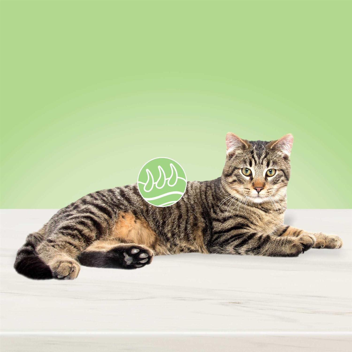 Blue Buffalo True Solutions Perfect Coat Natural Skin & Coat Care Adult Dry Cat Food - Pet Supplies online store