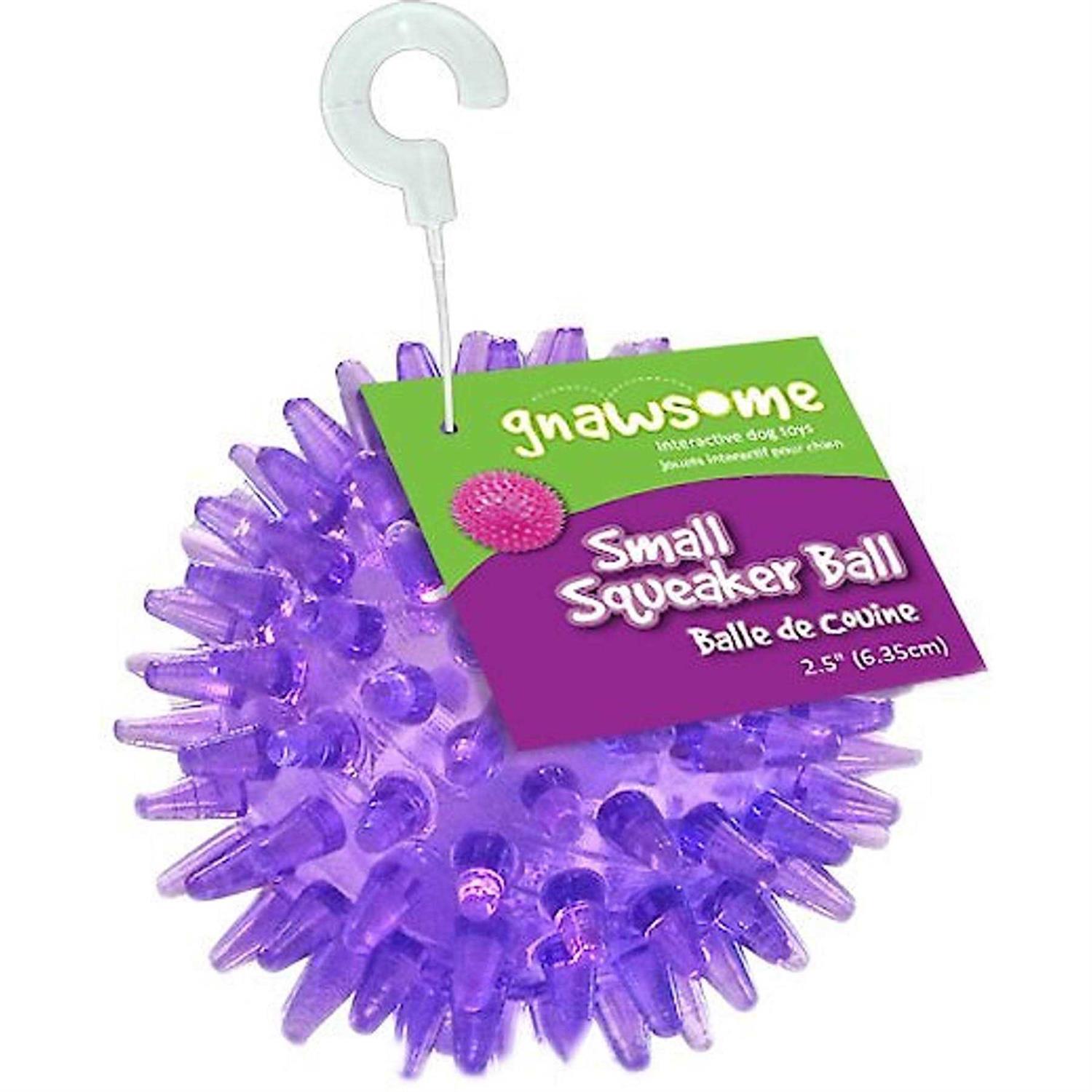 Gnawsome Squeaker Ball Dog Toy - Pet Supplies online store