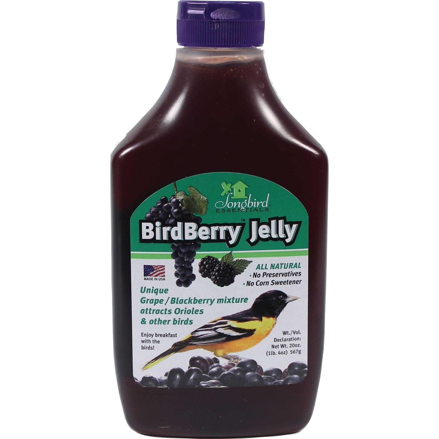 Songbird Essentials Birdberry Jelly 20 oz - Pet Supplies online store