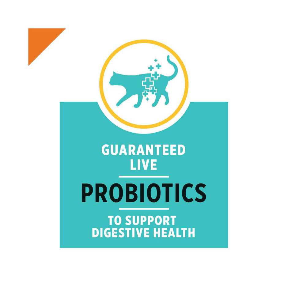 Purina Pro Plan Savor Adult Salmon & Rice Formula Cat Food - Pet Supplies online store