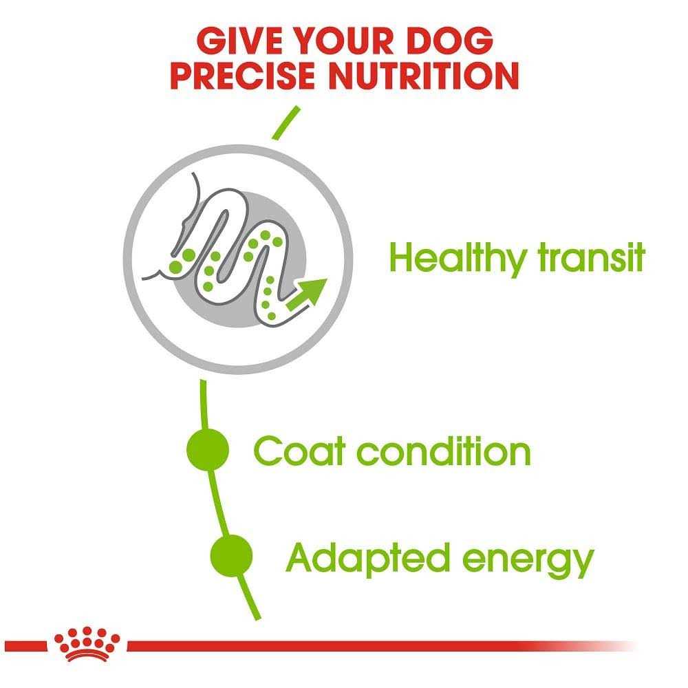 Royal Canin Size Health Nutrition X-Small Adult Dry Dog Food - Pet Supplies online store