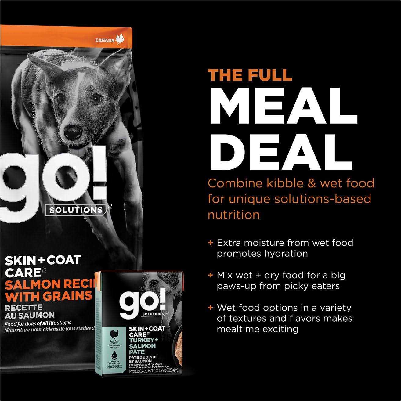 Go! Solutions Skin + Coat Care Salmon Recipe Dry Dog Food - Pet Supplies online store