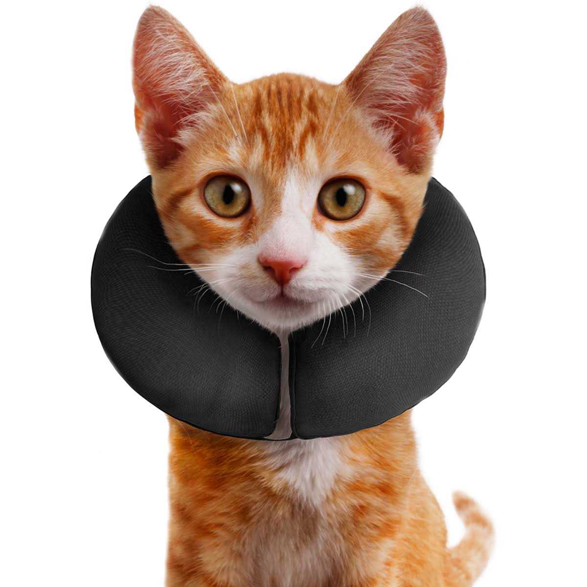 ZenPet Inflatable Recovery Collar - Pet Supplies online store