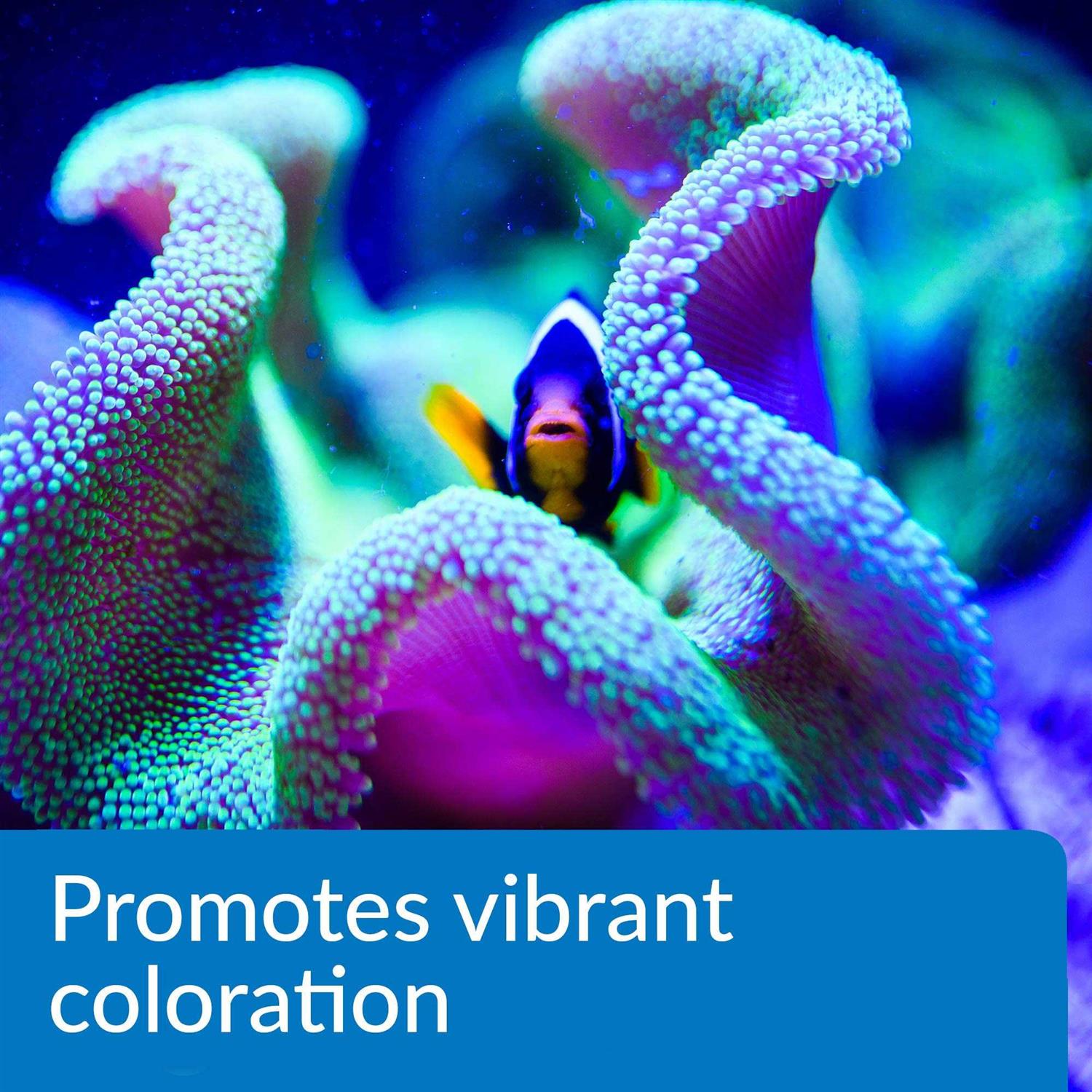 API Marine Complete Trace Aquarium Water Conditioner - Pet Supplies online store