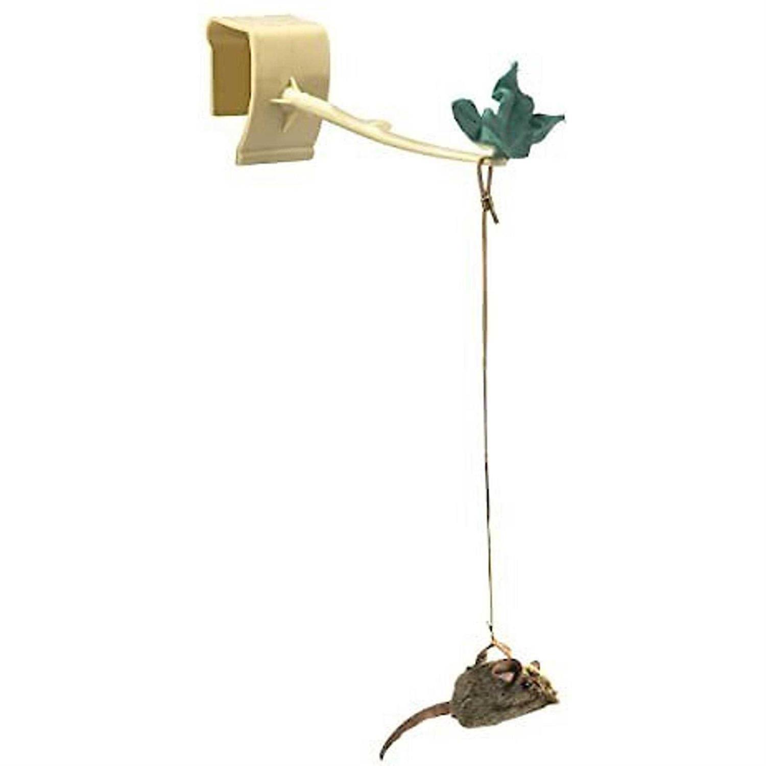 OurPets Play-N-Squeak Batting Practice - Pet Supplies online store