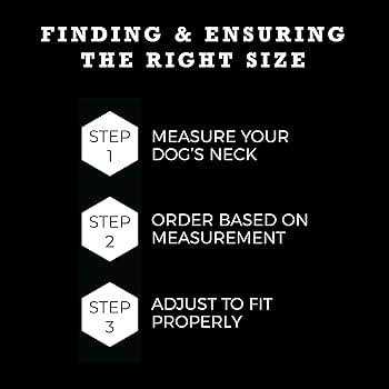 Wolfgang Dog Collar - Pet Supplies online store