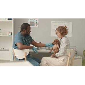 Composure Pro Advanced Calming Supplement for Dogs & Cats - Pet Supplies online store