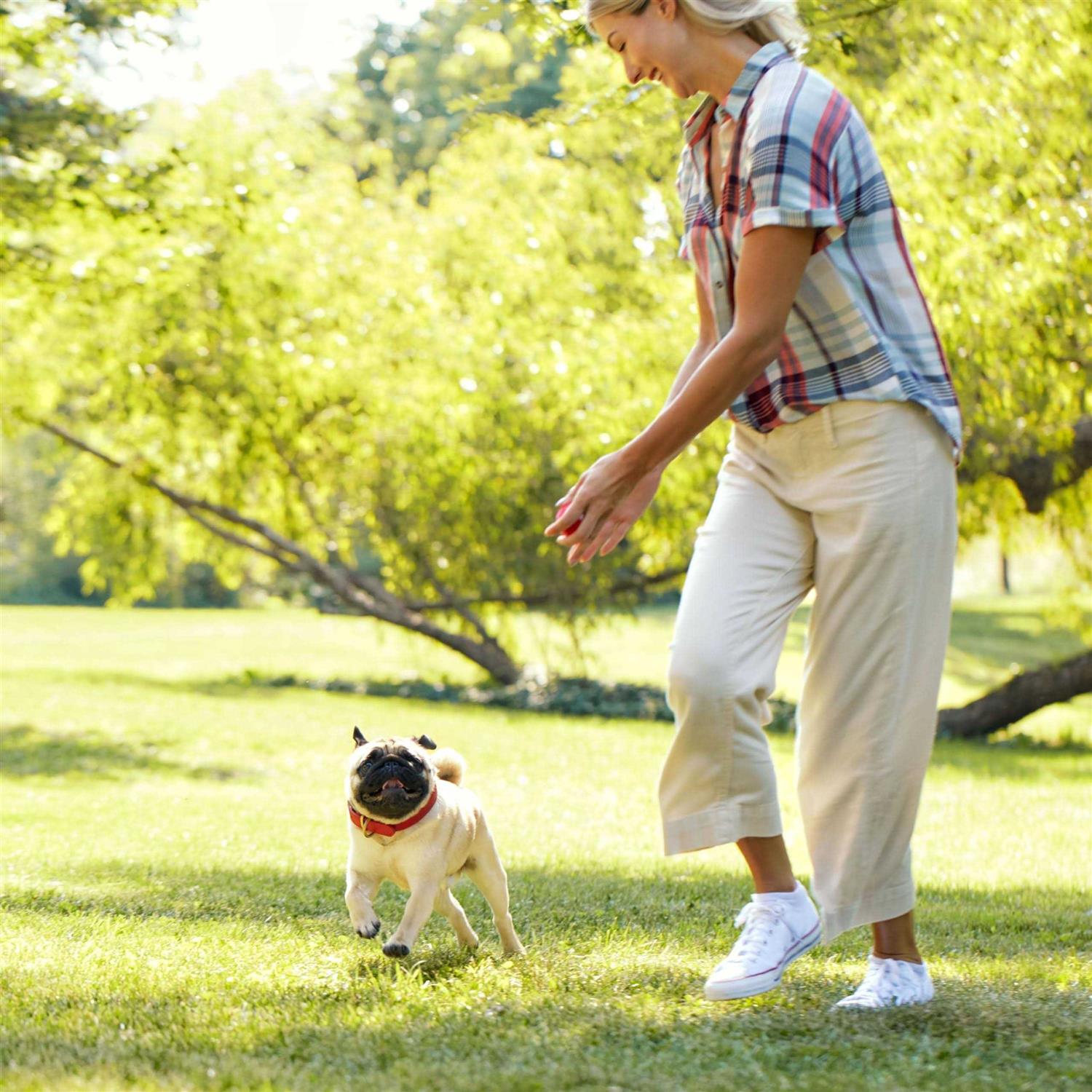 Milk-Bone Stuffed Dog Treats Bacon & Beef - Pet Supplies online store