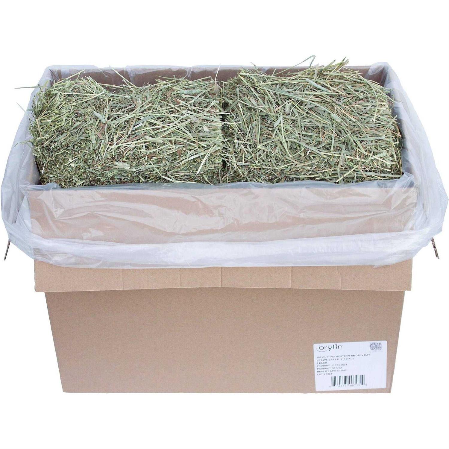 Brytin 1st Cutting All-Natural Western Timothy Hay Chinchilla Food - Pet Supplies online store