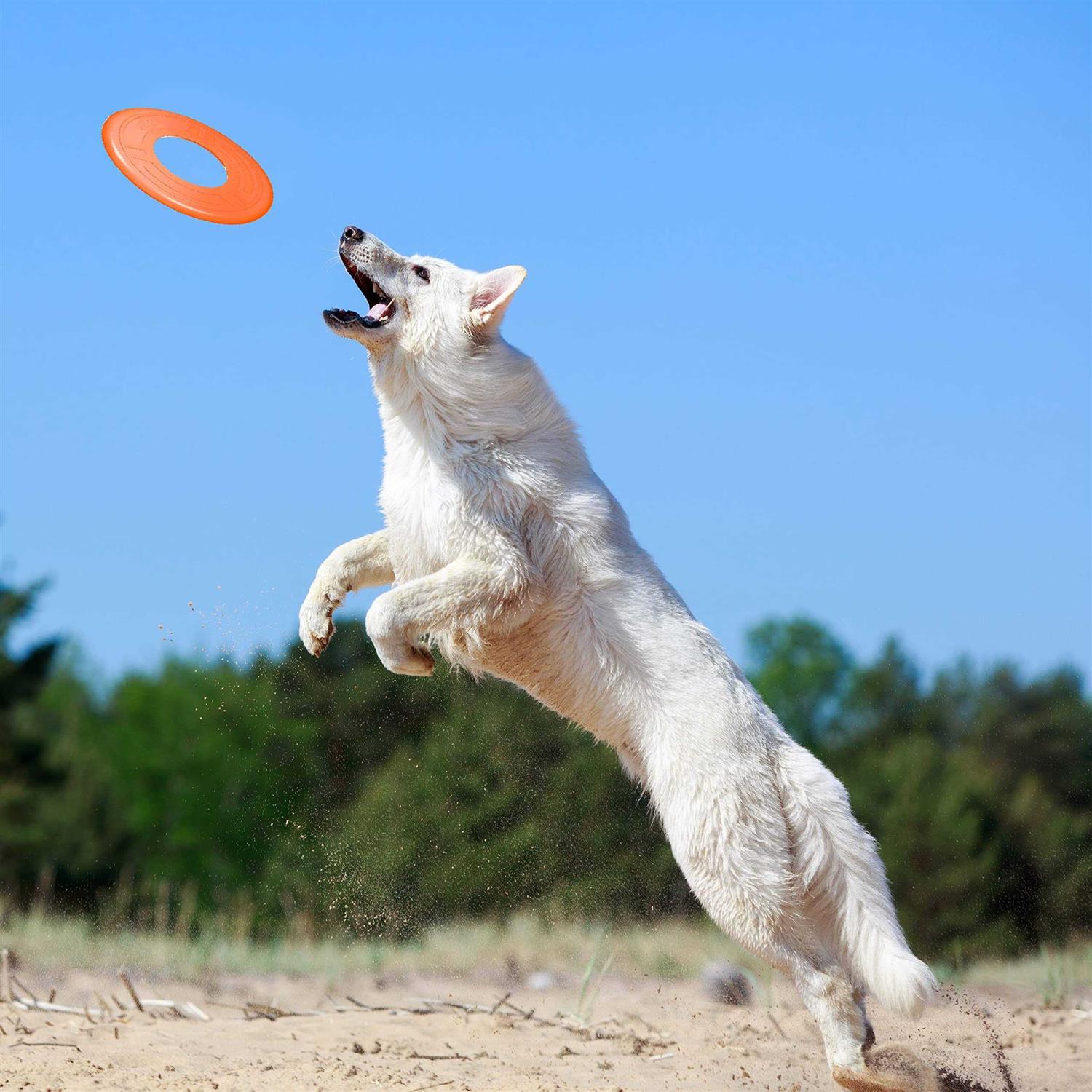 Nerf Atomic Flyer Dog Toy - Pet Supplies online store
