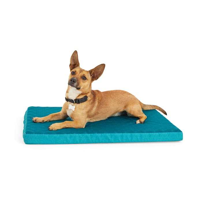 EveryYay Cool Orthopedic Dog Crate Mat - Pet Supplies online store
