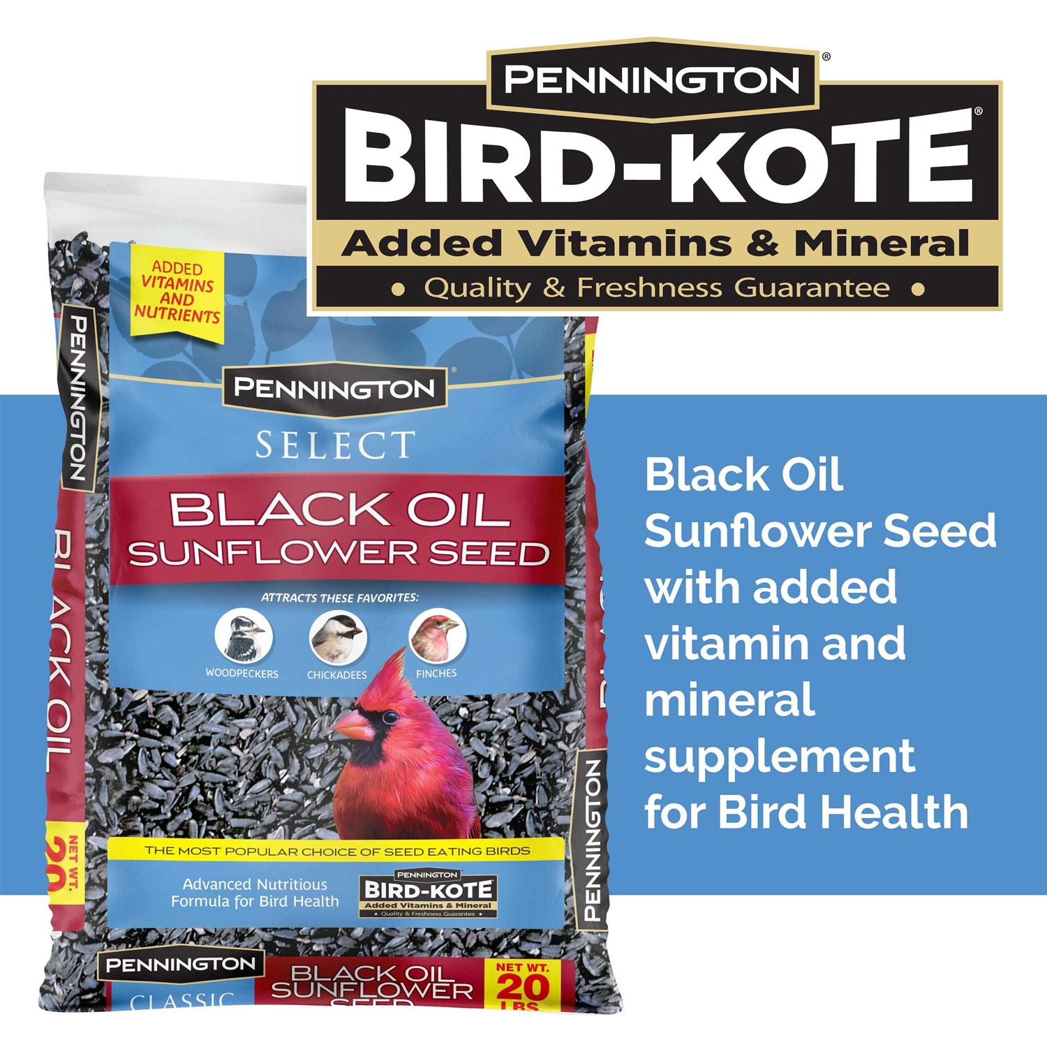 Pennington Select Black Oil Sunflower Seed Wild Bird Feed - Pet Supplies online store