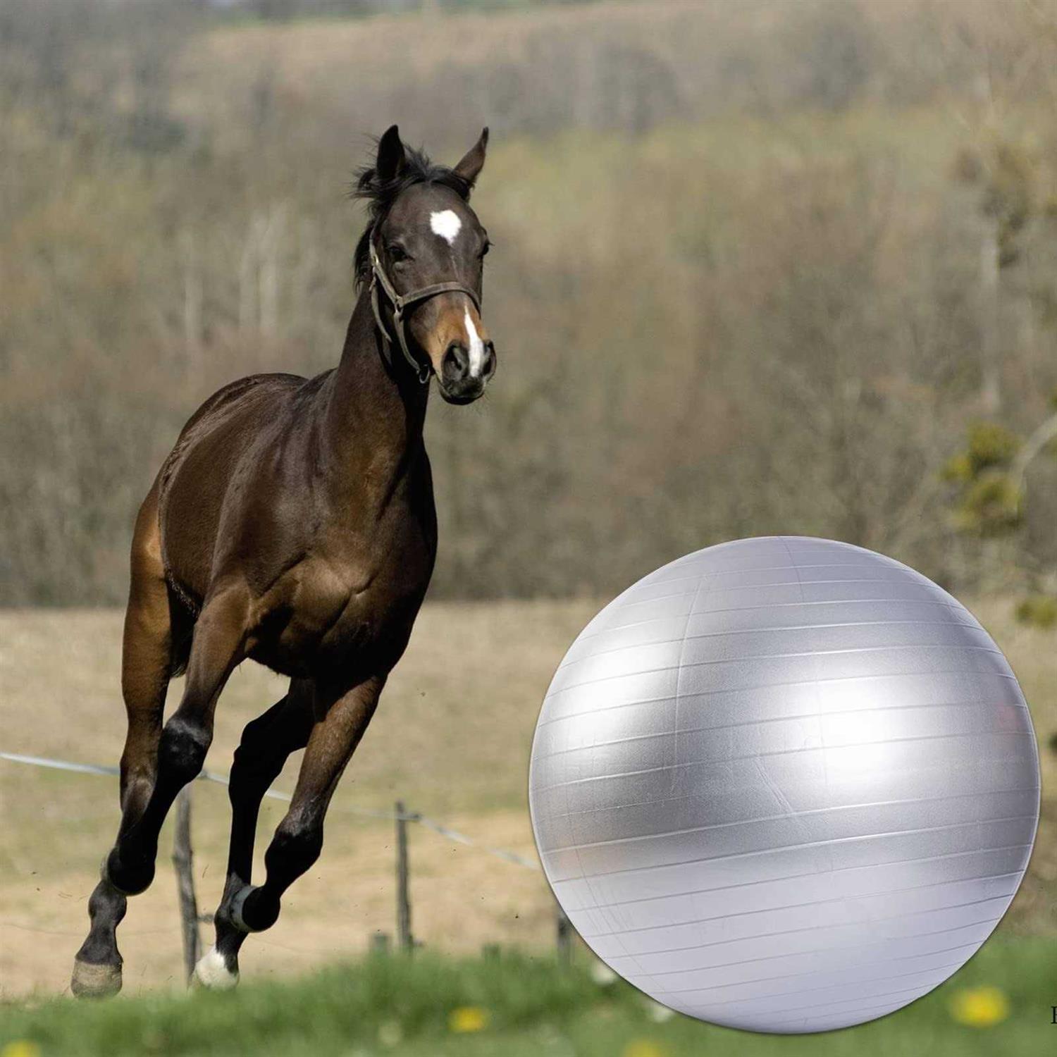 capuca Large Horse Balls for Play 30 Inch Anti-Burst Mega Herding Ball Giant Horse for Dogs Goats Horses to Play with Pump - Pet Supplies online store