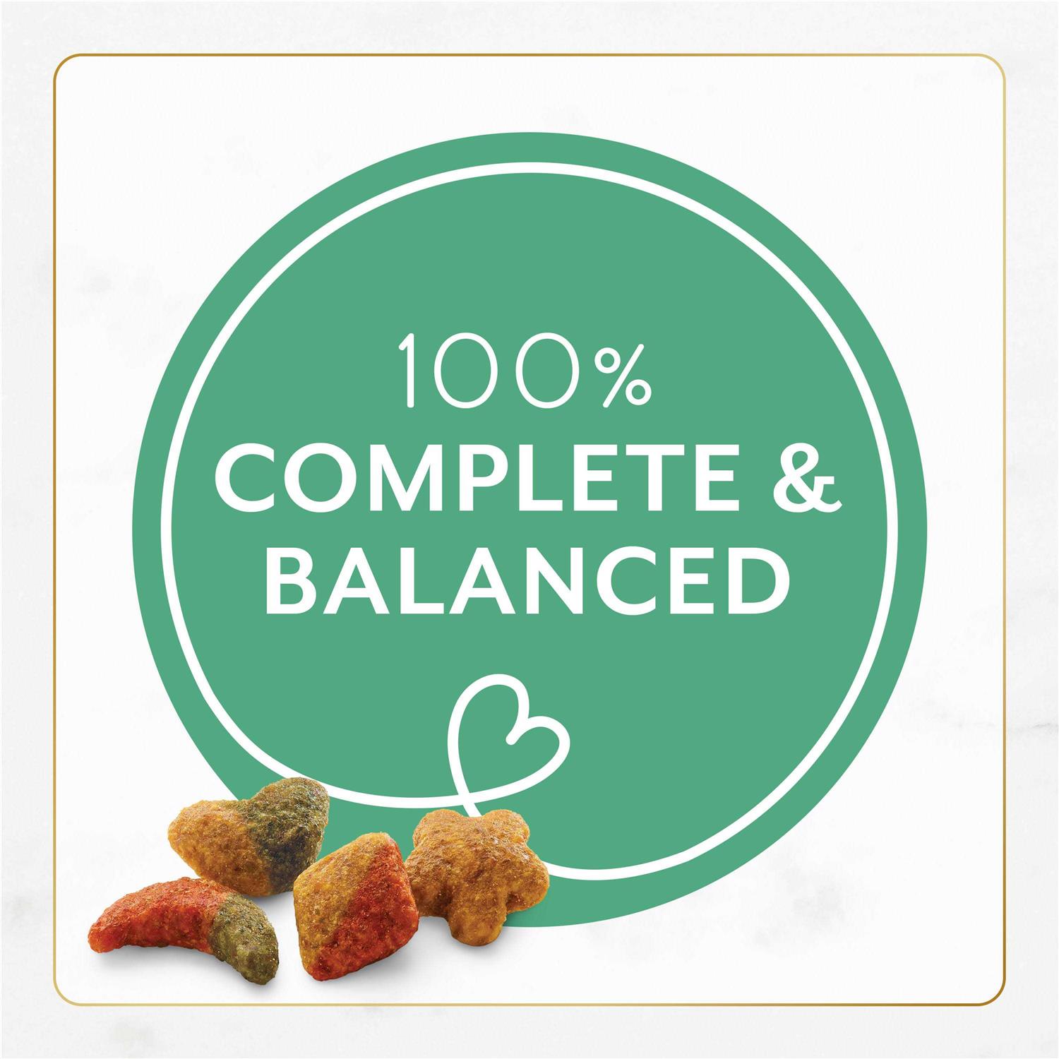 Fancy Feast Gourmet Ocean Fish and Salmon Dry Cat Food - Pet Supplies online store