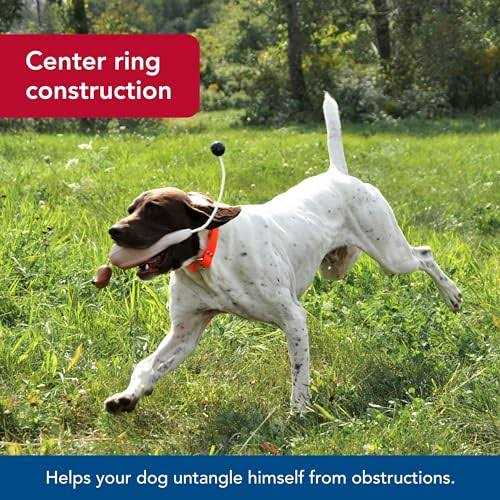 Water & Woods Waterproof Dog Collar - Pet Supplies online store