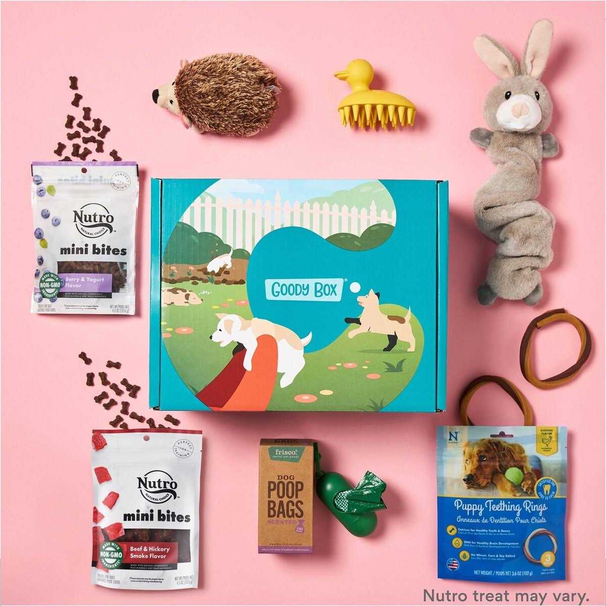 Goody Box Puppy Toys - Pet Supplies online store