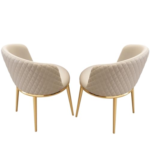 Modern Dining Chairs Set of 2，simple Chair for Vanity， PU Leather Kitchen Side Chair with Metal Legs for The Living Room, Home(Dark Gray)