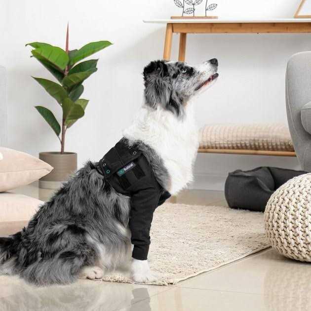 Suitical Dog Recovery Double Sleeves - Pet Supplies online store