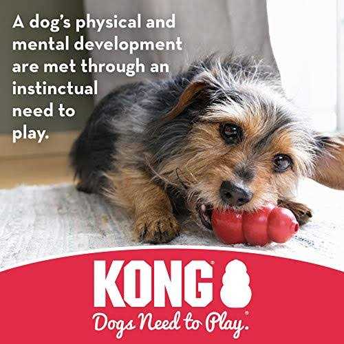 KONG Dog Toy - Pet Supplies online store