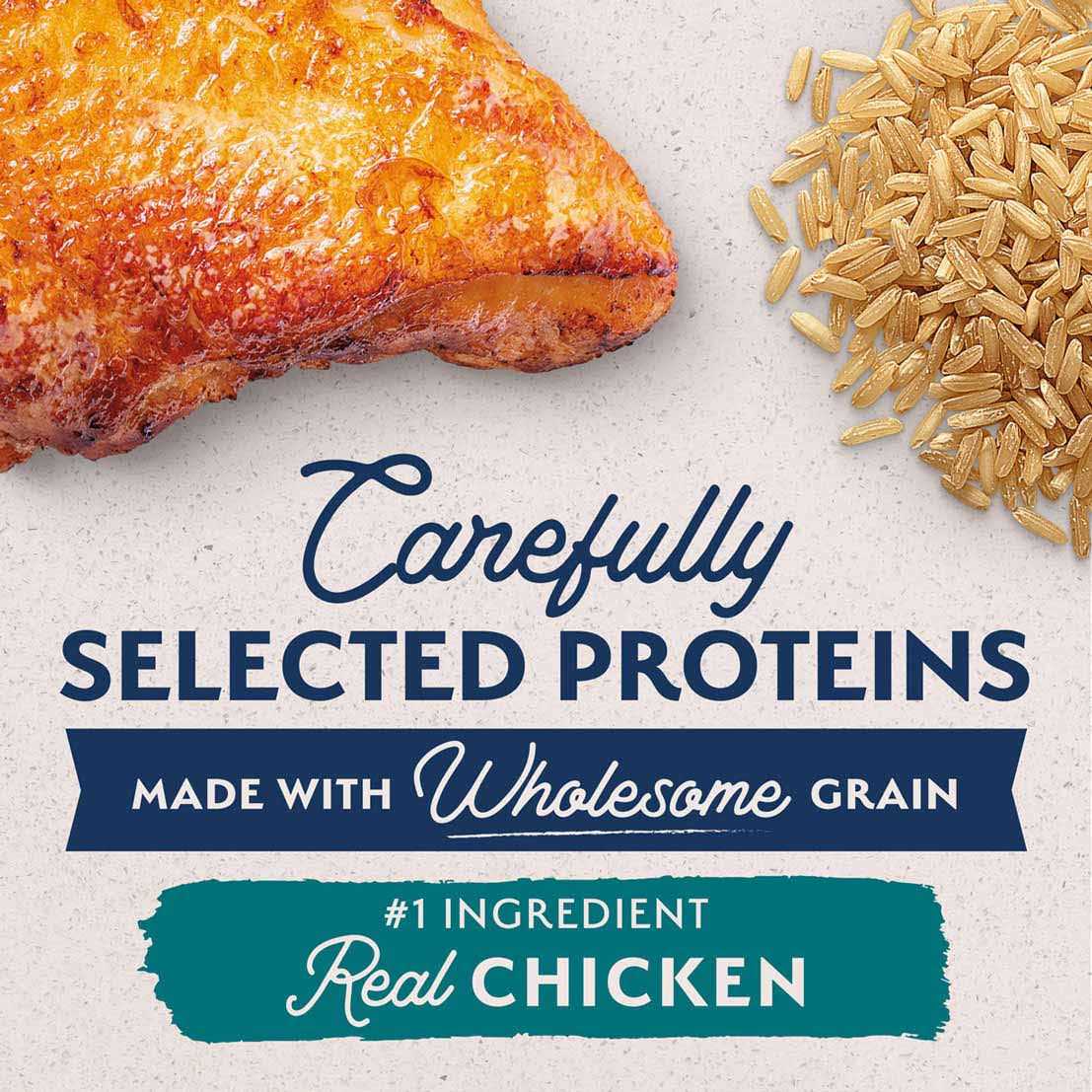 Natural Balance Limited Ingredient Dog Food - Pet Supplies online store