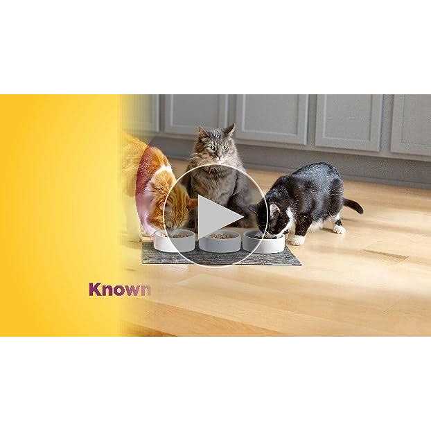 Meow Mix Original Choice Cat Food - Pet Supplies online store