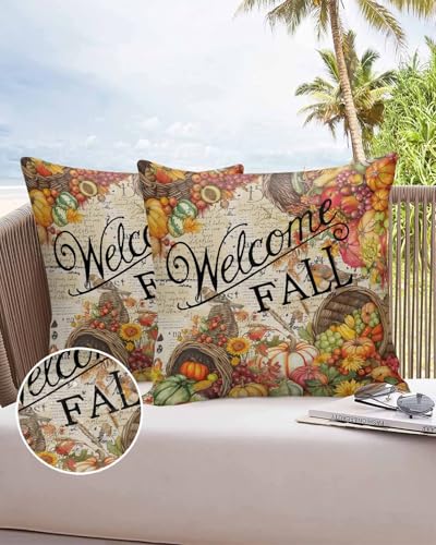 Outdoor Pillow Covers Waterproof, Hello Fall Throw Pillowcase Decorative Cover, Vintage Pumpkin Fruit Harvest Wooden Garden Cushion Case Set of 2 for Sofa, Couch, Tent, Patio, 16