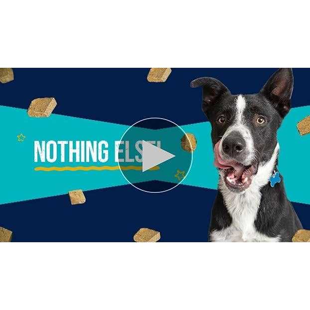 Stewart Chicken Freeze Dried Dog Treats - Pet Supplies online store