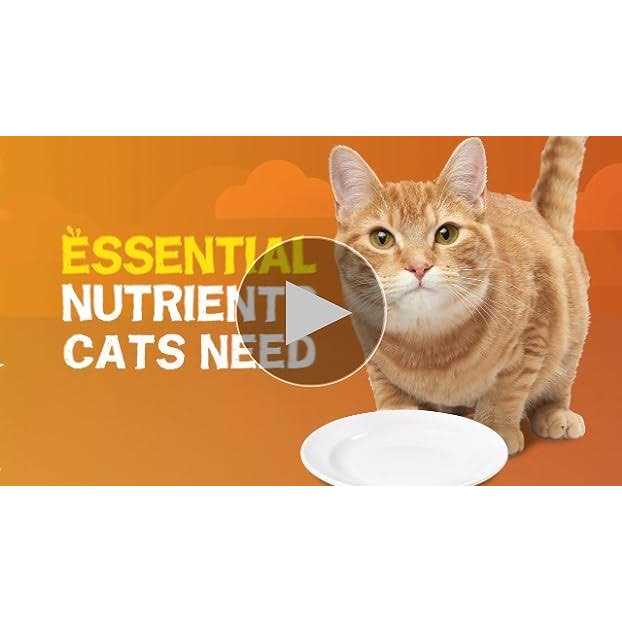 Purina Friskies Extra Gravy Pate Wet Cat Food Gravy - Pet Supplies online store