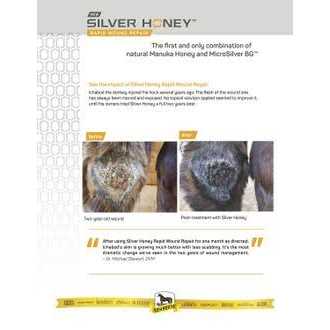 Silver Honey Rapid Skin Relief Medicated Shampoo - Pet Supplies online store