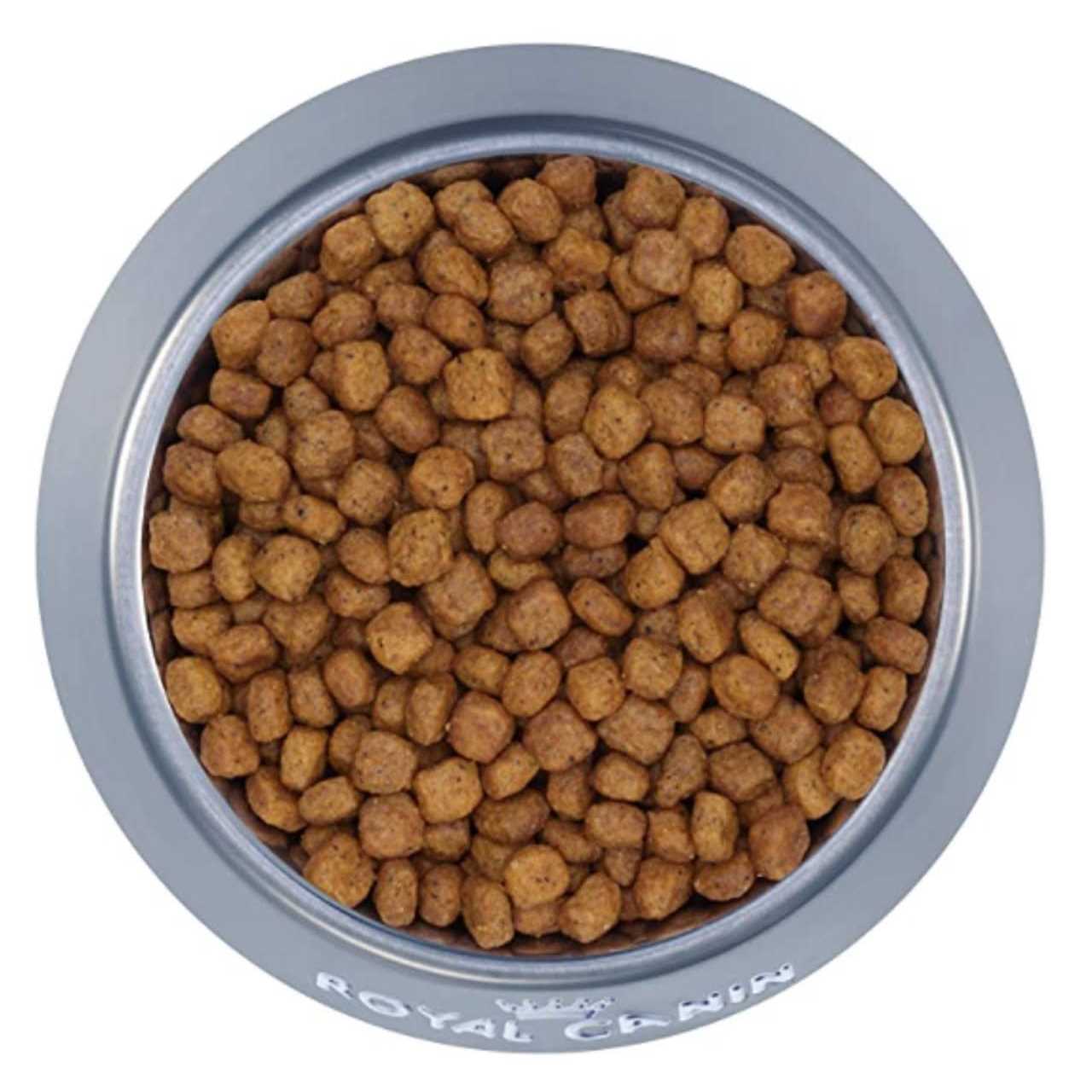 Royal Canin Feline Health Nutrition Indoor Mature 27 Cat Dry Food - Pet Supplies online store