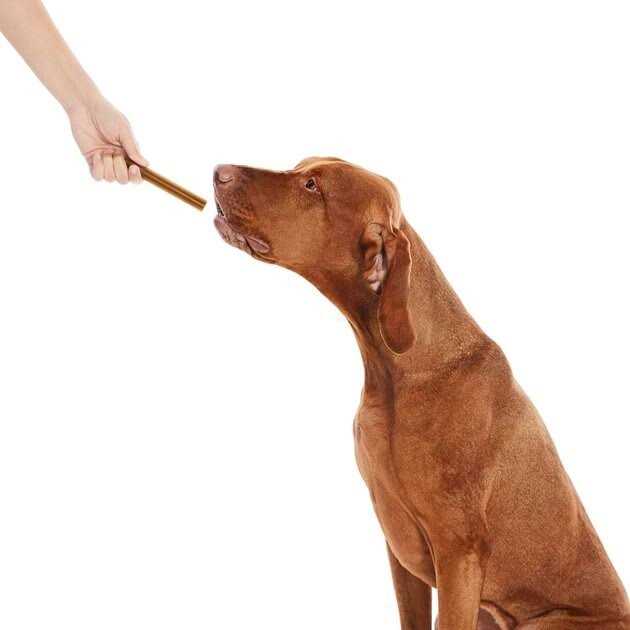 True Acre Foods All-Natural Dental Chew Sticks - Pet Supplies online store