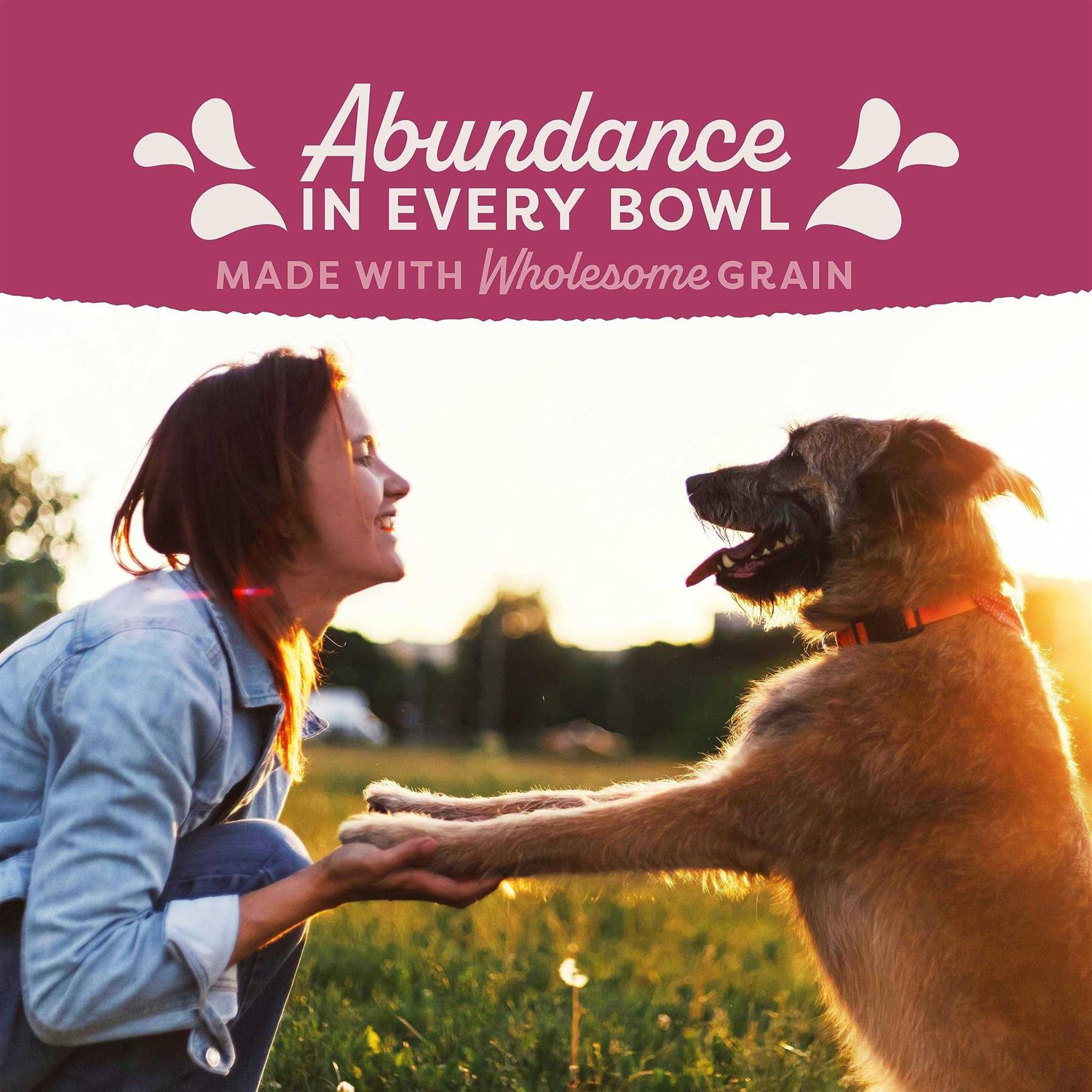Natural Balance Fat Dogs Dog Food Chicken - Pet Supplies online store