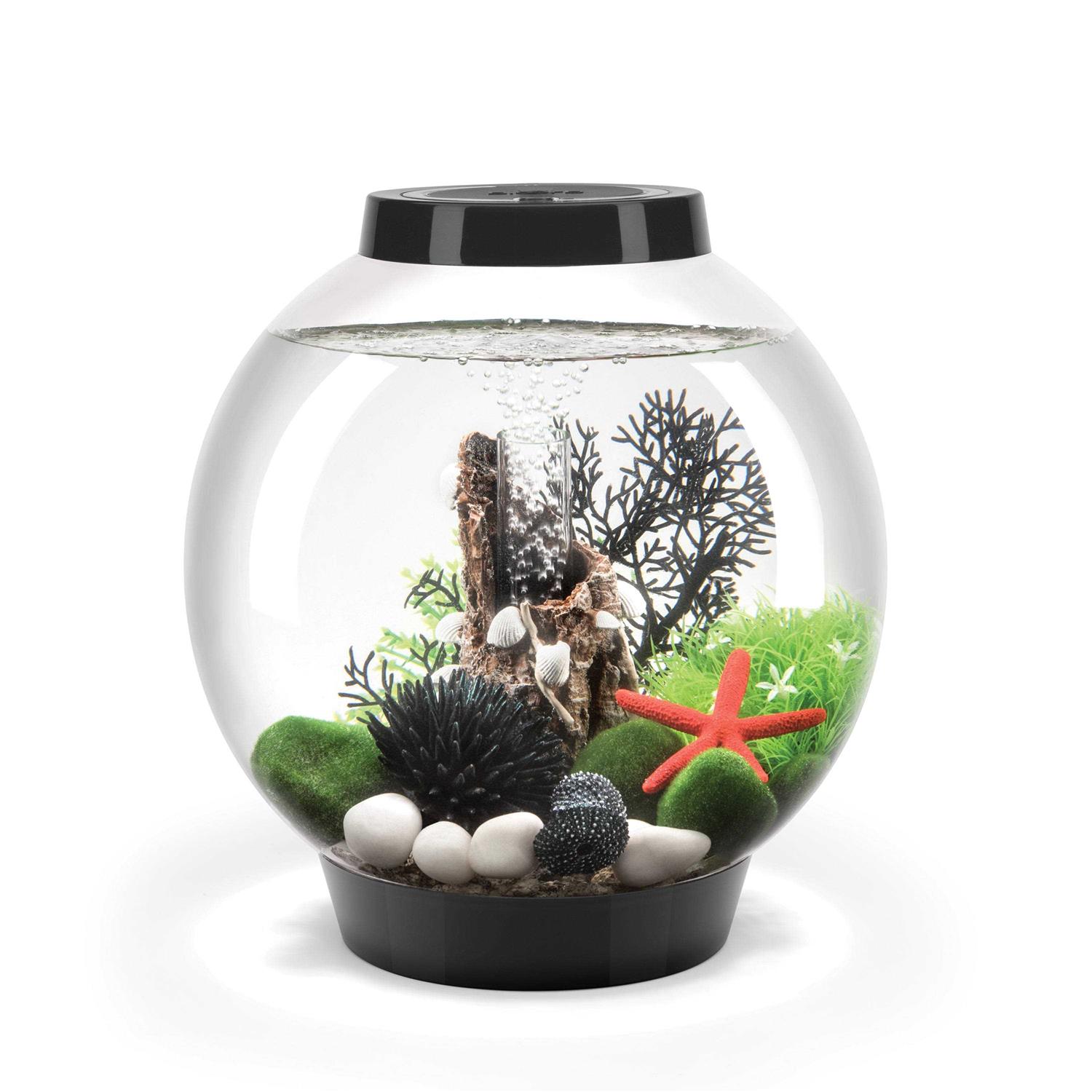 biOrb CLASSIC Collection - Pet Supplies online store