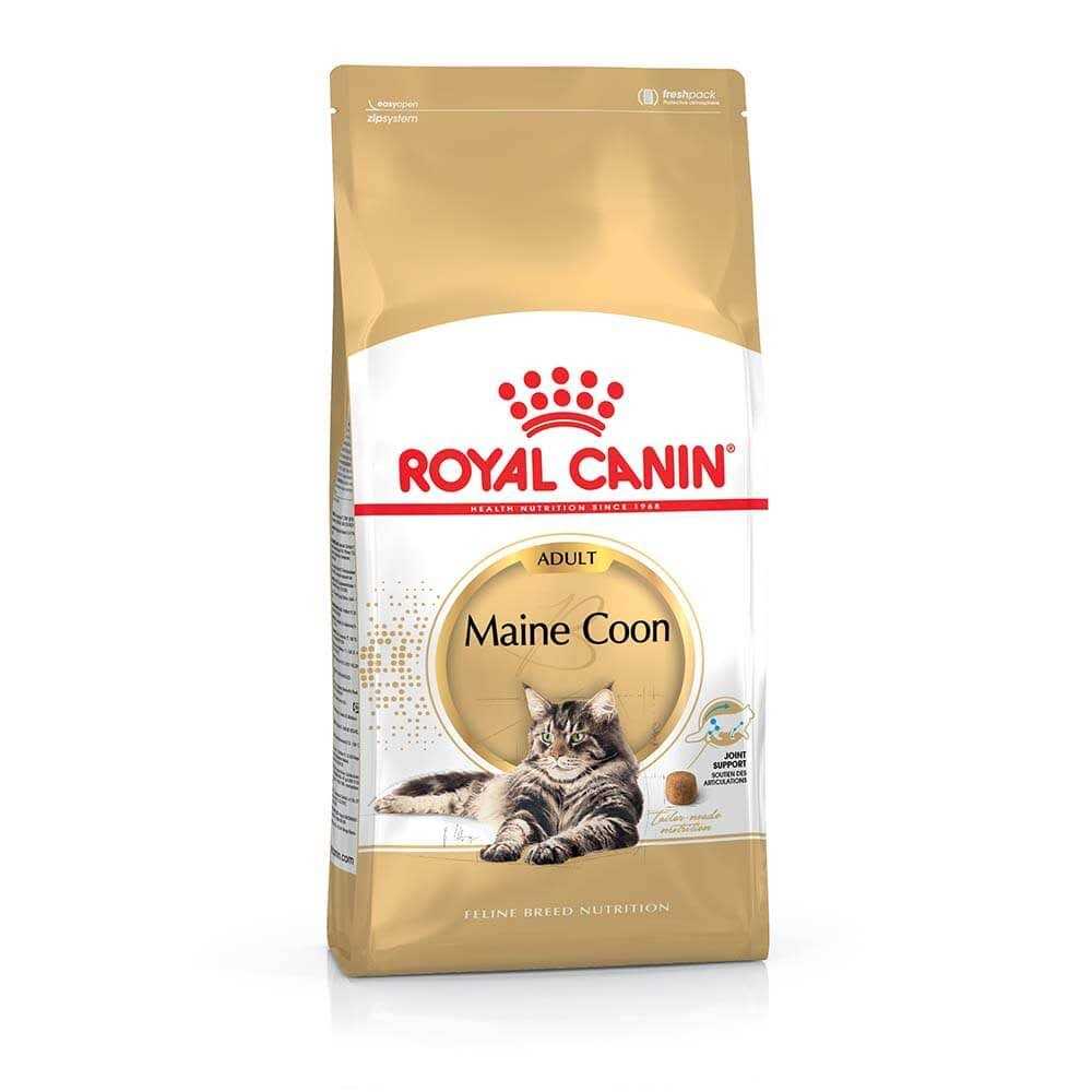 Royal Canin Feline Breed Nutrition Maine Coon Dry Cat Food - Pet Supplies online store