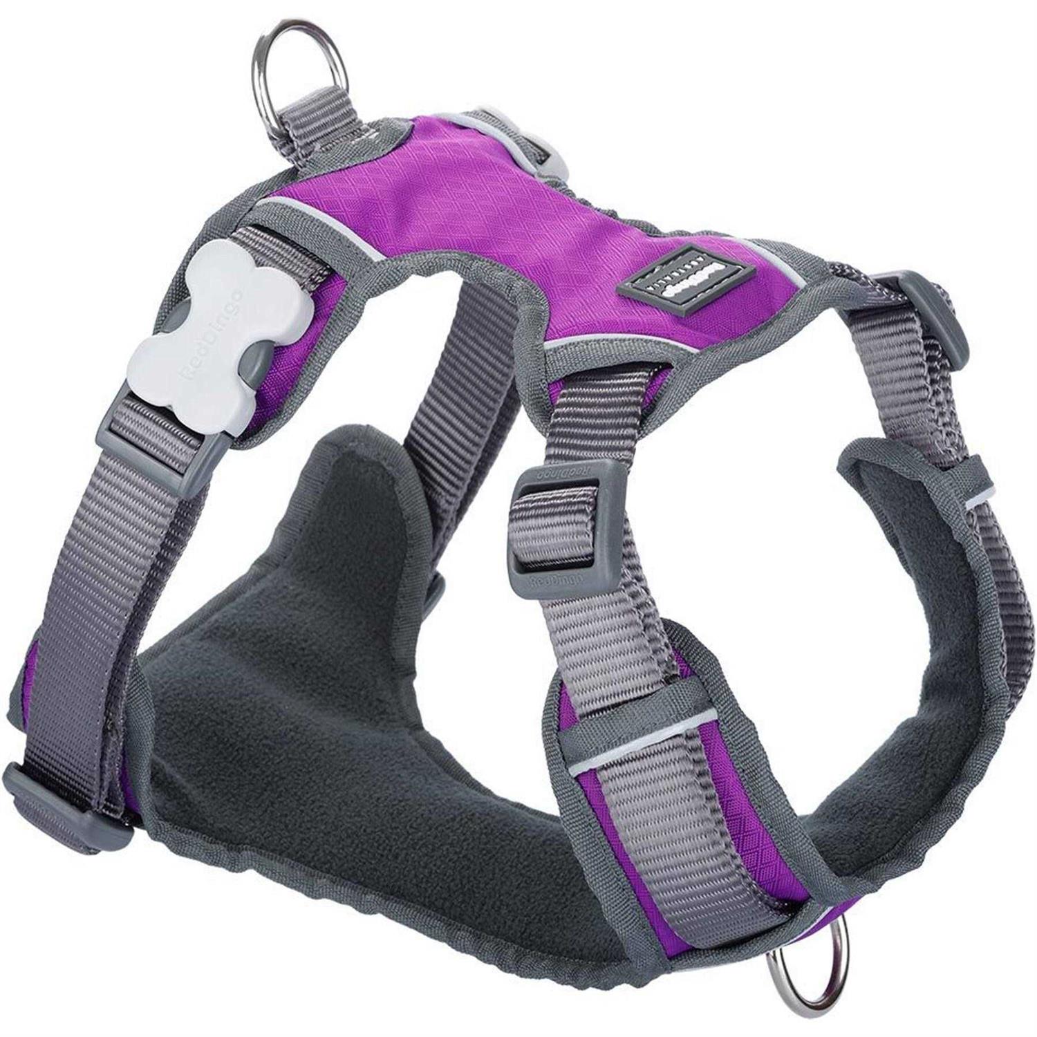 Dog Harness Red Dingo Padded - Pet Supplies online store
