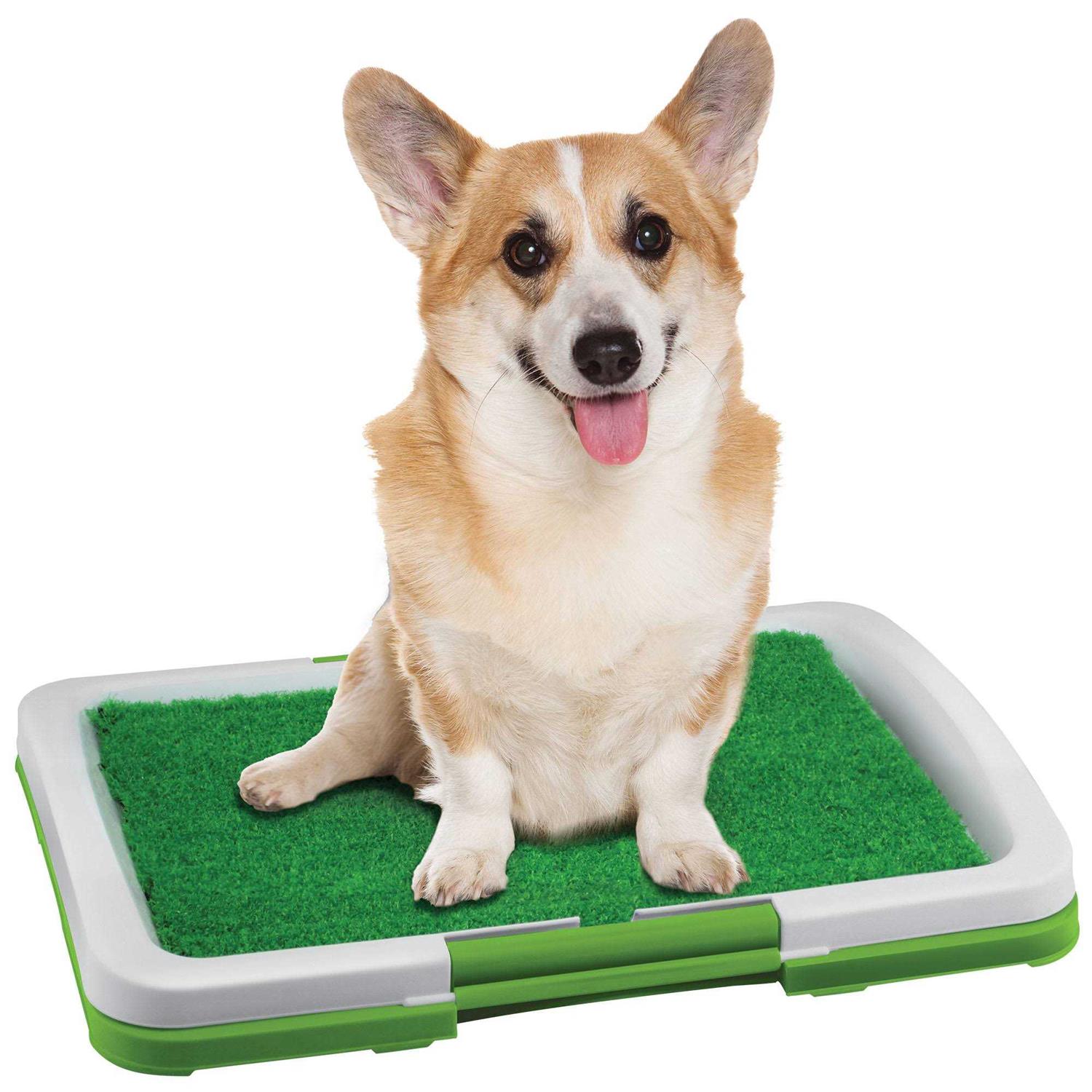 Dog Potty Patch - Pet Supplies online store