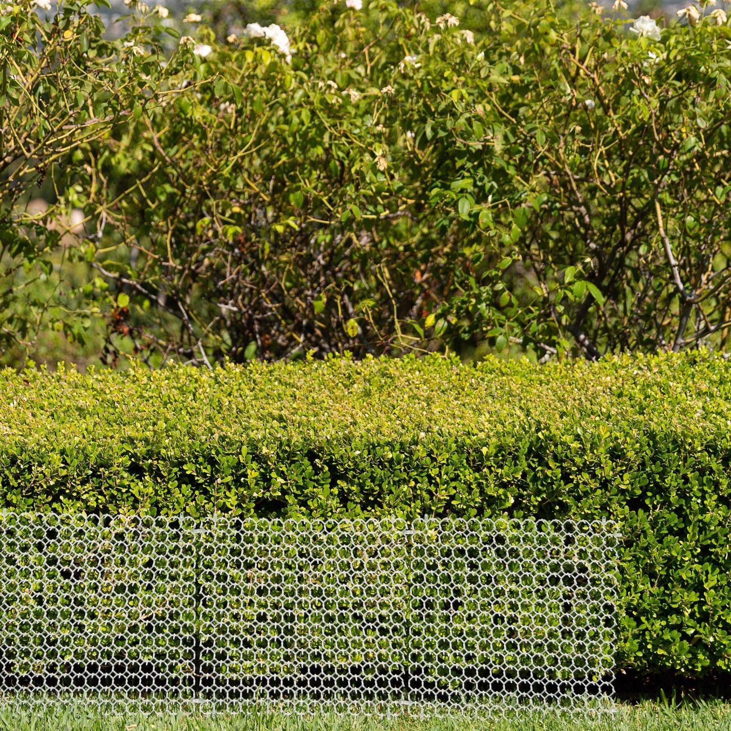 Ultragica Pet Training Mat Keep Dogs and Cats Off Furniture and Prevent Scratching - Pet Supplies online store