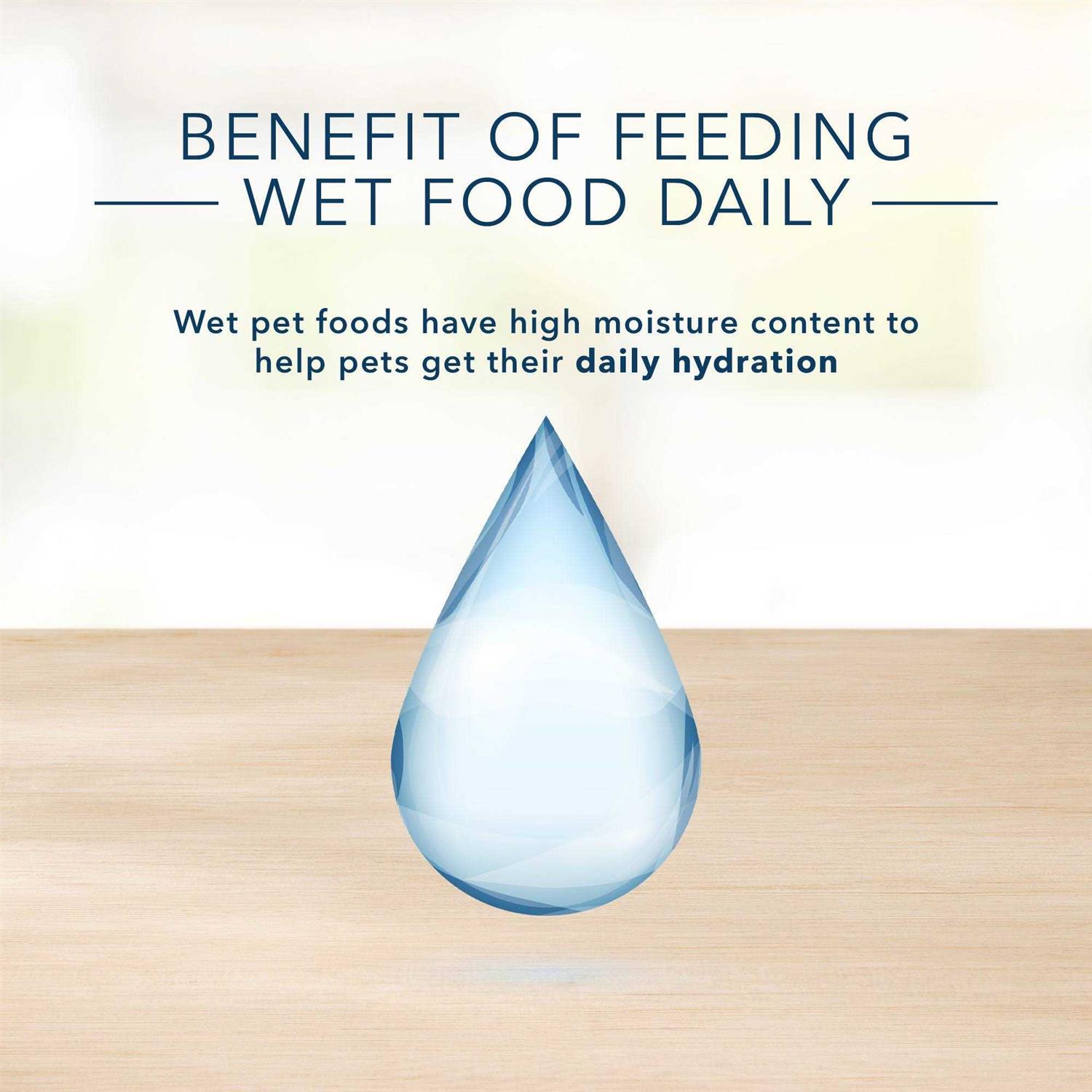 Blue Buffalo Homestyle Recipe Turkey Meatloaf Dinner Wet Dog Food - Pet Supplies online store