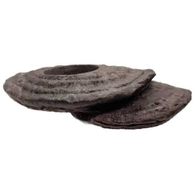 Zoo Med Arboreal Feeding Platform - Pet Supplies online store