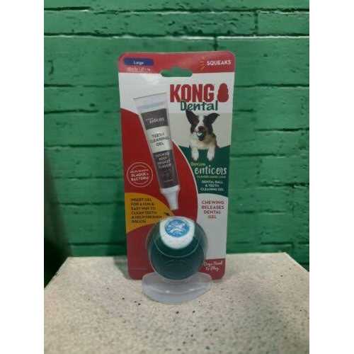 Kong Dental Ball & Teeth Cleaning Gel Dog Toy - Pet Supplies online store