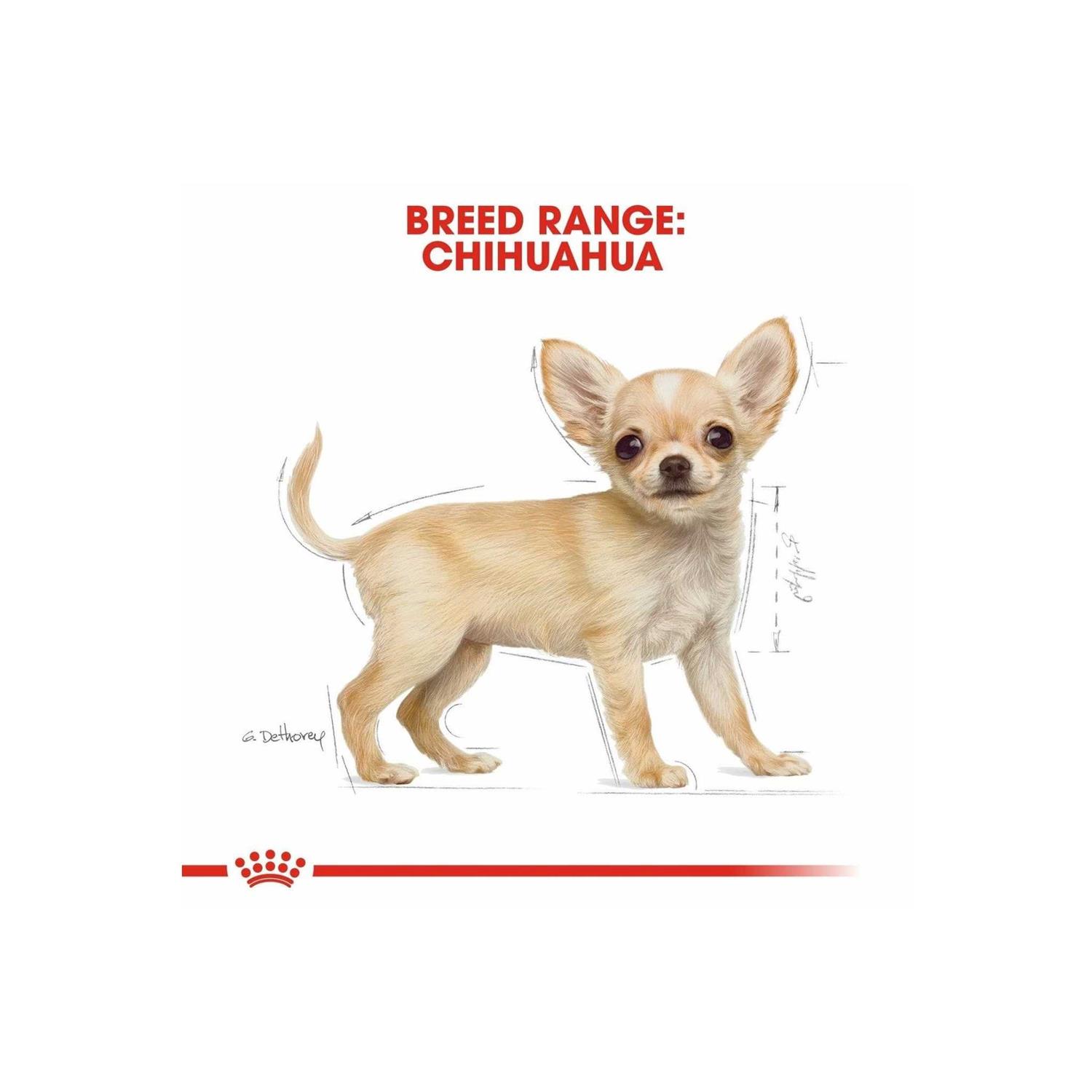 Royal Canin Breed Health Nutrition Chihuahua Puppy Dry Dog Food - Pet Supplies online store