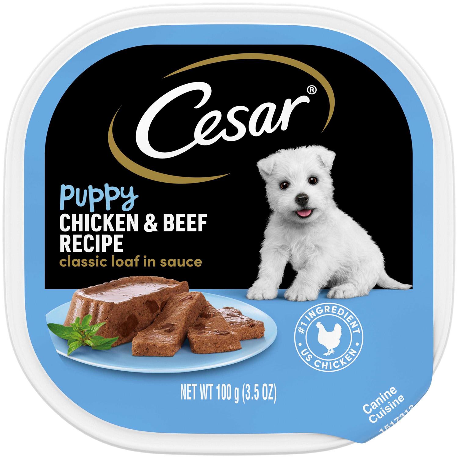 Cesar Classic Loaf in Sauce Wet Dog Food Chicken & Beef Recipe Puppy - Pet Supplies online store