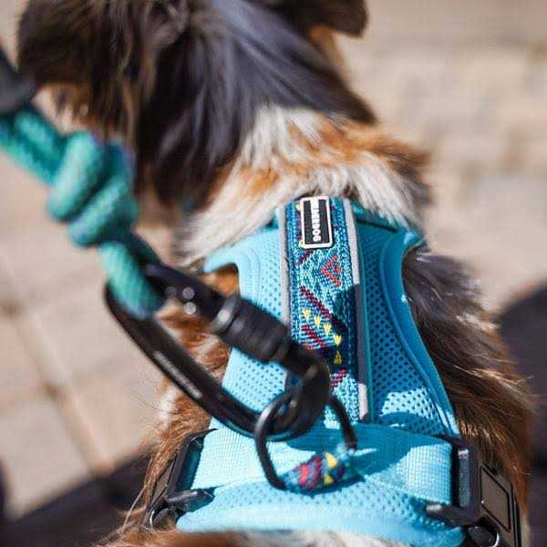 Wilderdog Harness - Pet Supplies online store